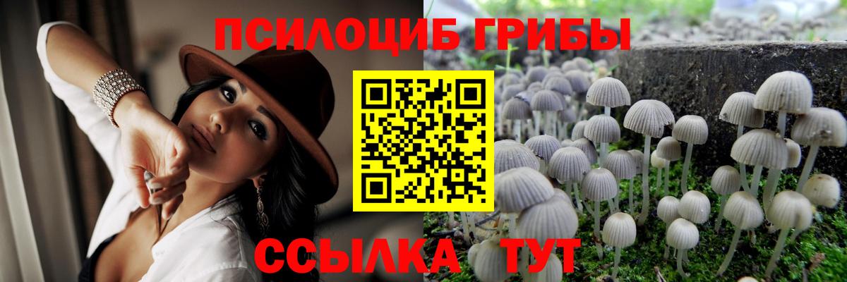 Томск  Галлюциногенные грибы прущие грибы  цены   Вход с VPN 