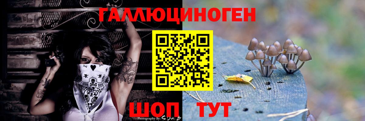 Галлюциногенные грибы Cubensis Томск